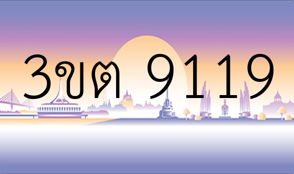 3ขต 9119